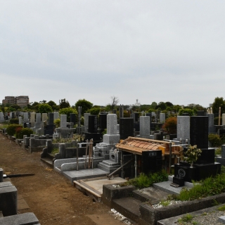 墓地 現場1